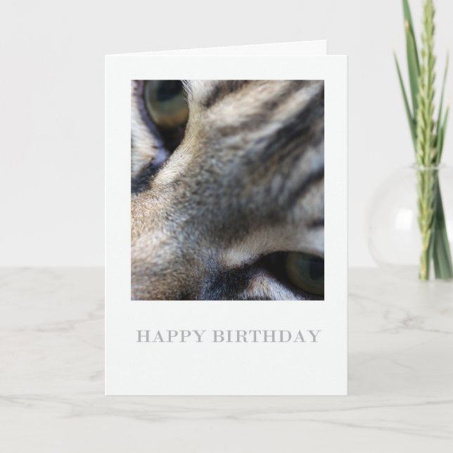 Maine Coon Close Up, Photography Birthday Card (Front)