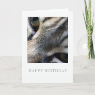 Maine Coon Close Up, Photography Birthday Card