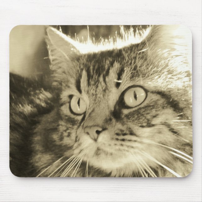 Maine Coon Face 2 Mouse Mat (Front)
