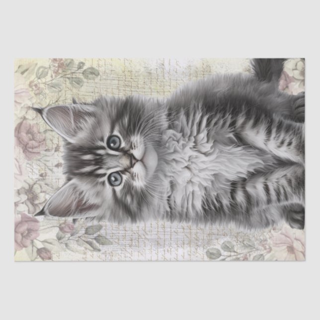 Maine Coon Floral Cat Kitten Tissue Paper (Front)