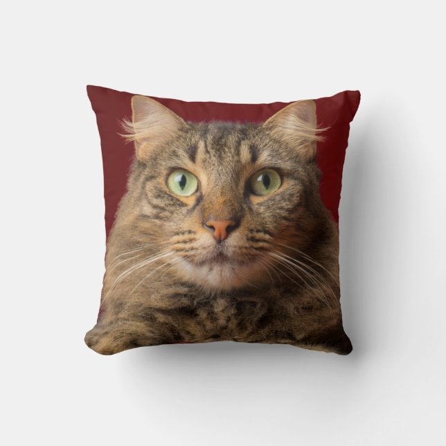 Maine Coon for Christmas with collector Cushion (Front)