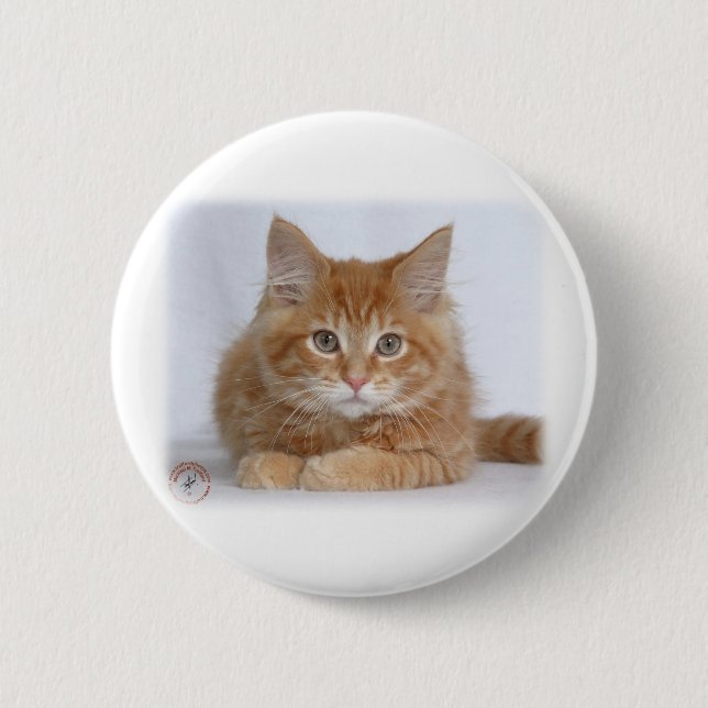 Maine Coon Kitten 9Y226D-373a 6 Cm Round Badge (Front)