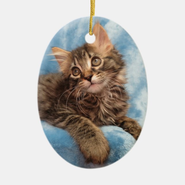 Maine Coon Kitten Ornament (Front)