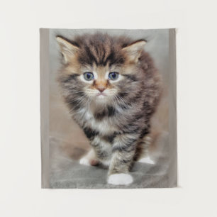 Maine Coon Kitten Tapestry