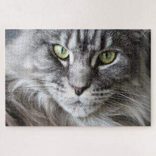 Maine Coon Kitty Cat Cute Fun Animal Jigsaw Puzzle