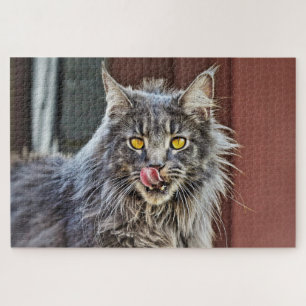 Maine Coon  Kitty Cat Cute Fun Animal Jigsaw Puzzle