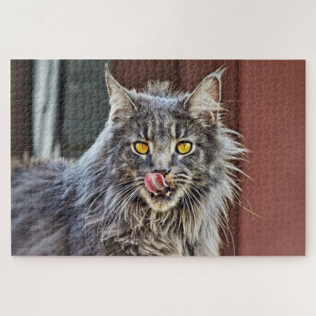 Maine Coon  Kitty Cat Cute Fun Animal Jigsaw Puzzle (Horizontal)