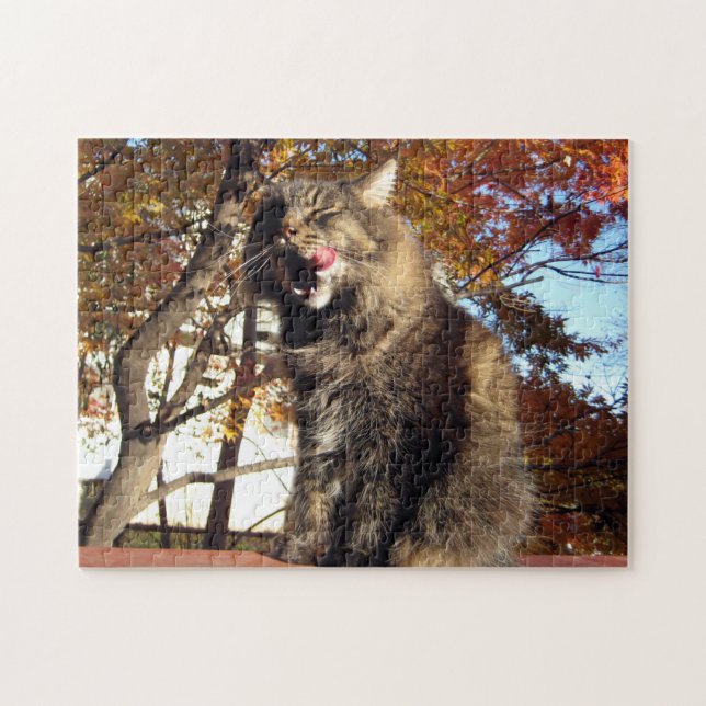 Maine Coon  Kitty Cat Cute Fun Animal Jigsaw Puzzle (Horizontal)
