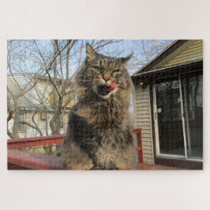 Maine Coon Kitty Cat Cute Fun Animal Jigsaw Puzzle