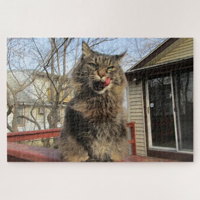 Maine Coon  Kitty Cat Cute Fun Animal Jigsaw Puzzle (Horizontal)