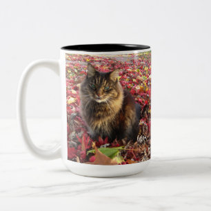 Maine Coon  Kitty Cat Two-Tone Coffee Mug