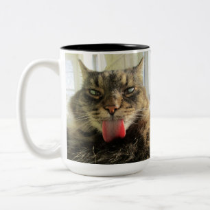 Maine Coon  Kitty Cat Two-Tone Coffee Mug