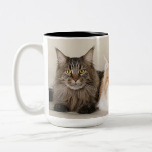 Maine Coon  Kitty Cat Two-Tone Coffee Mug