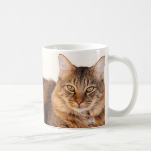 Maine Coon Kitty Coffee Mug