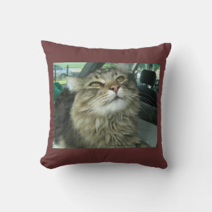 Maine Coon kitty Cushion