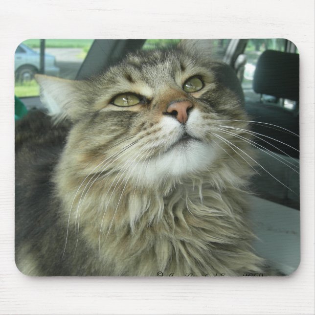Maine Coon kitty Mouse Mat (Front)