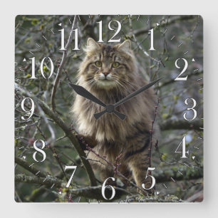 Maine Coon Long-hair Tabby Cat Animal Pet Clock