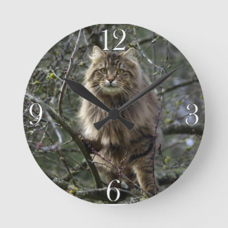 Maine Coon Long-hair Tabby Cat Animal Pet Clock