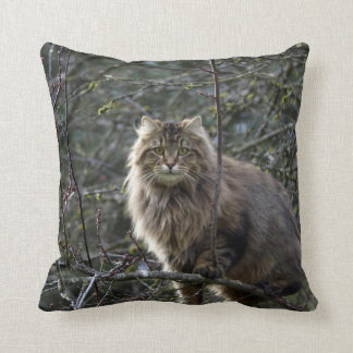 Maine Coon Long-hair Tabby Cat Animal Pet Cushion