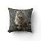Maine Coon Long-hair Tabby Cat Animal Pet