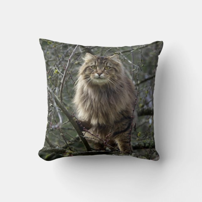 Maine Coon Long-hair Tabby Cat Animal Pet Cushion (Front)