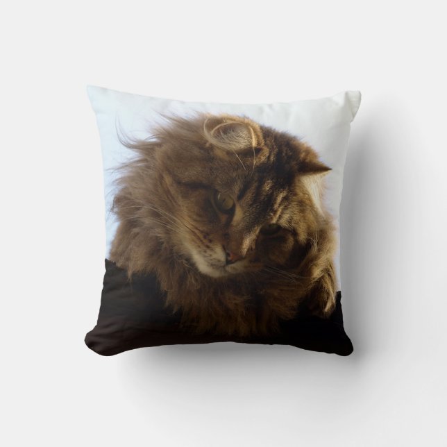 Maine Coon Long-hair Tabby Cat Cushion (Front)