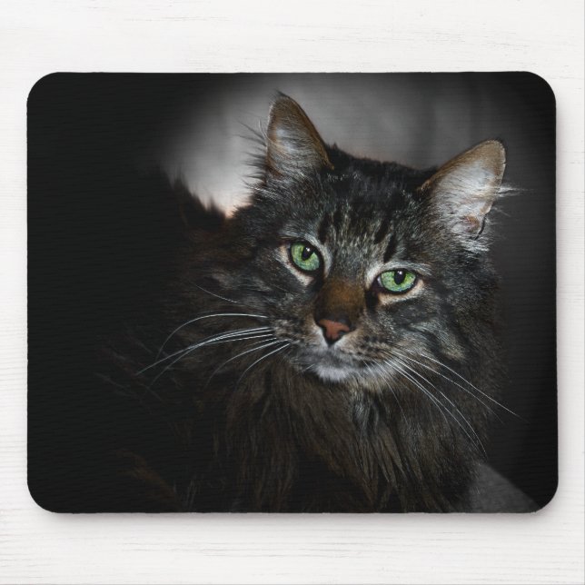 Maine Coon Mouse Mat (Front)