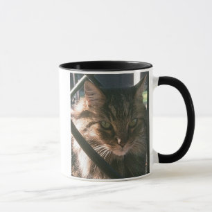 Maine Coon (mug) Mug