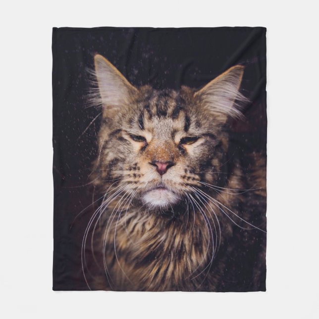 maine coon on a black background younganimal,cat,c fleece blanket (Front)