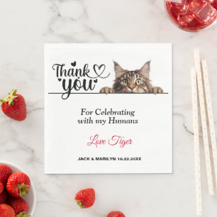 Maine Coon Peeking Cat Paper Napkins