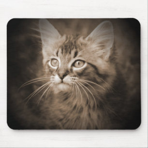 Maine Coon Sepia #1 Mousepad