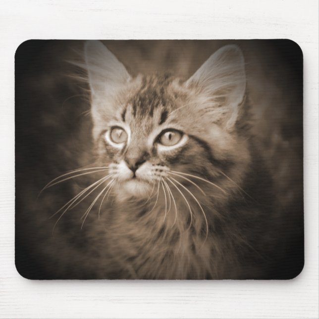 Maine Coon Sepia #1 Mousepad (Front)