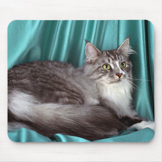 Maine Coon, silver tabby Mouse Mat (Front)