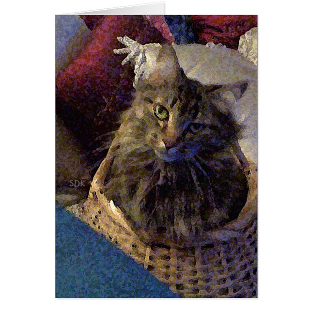 Maine Coon Tabby Cat (Front)