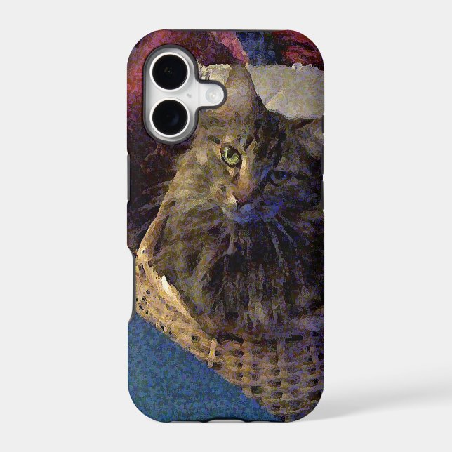 Maine Coon Tabby Cat (Back)