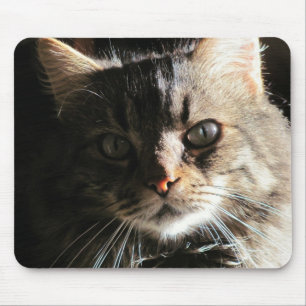 Maine Coon's Face Mouse Mat