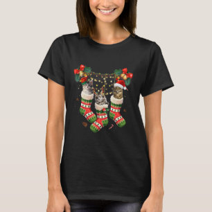 Maine Coons In Christmas Sock Funny T-Shirt
