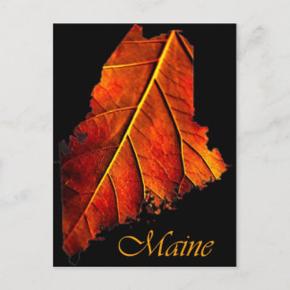 Maine Fall Photo Foliage | Maine Autumn Foliage Postcard
