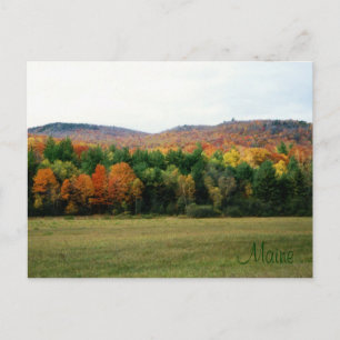 Maine Foliage Postcard