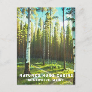 *~* Maine Forest Birch Evergreens AP49 Postcard