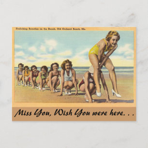 Maine, Frolicking Beauties Postcard