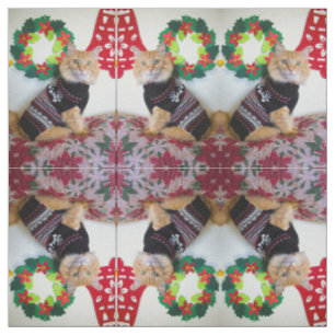 Maine Guy I Fabric