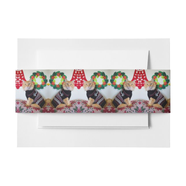 Maine Guy I Invitation Belly Band (Front Example)
