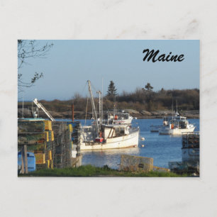 Maine Harbour Postcard