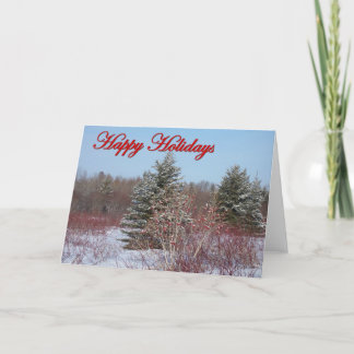 Maine Holiday Card