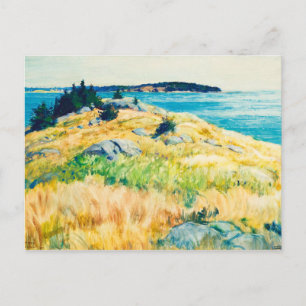 Maine islands by Newell Convers Wyeth Postcard