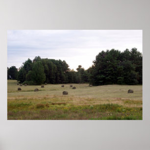 Maine Landscape Poster