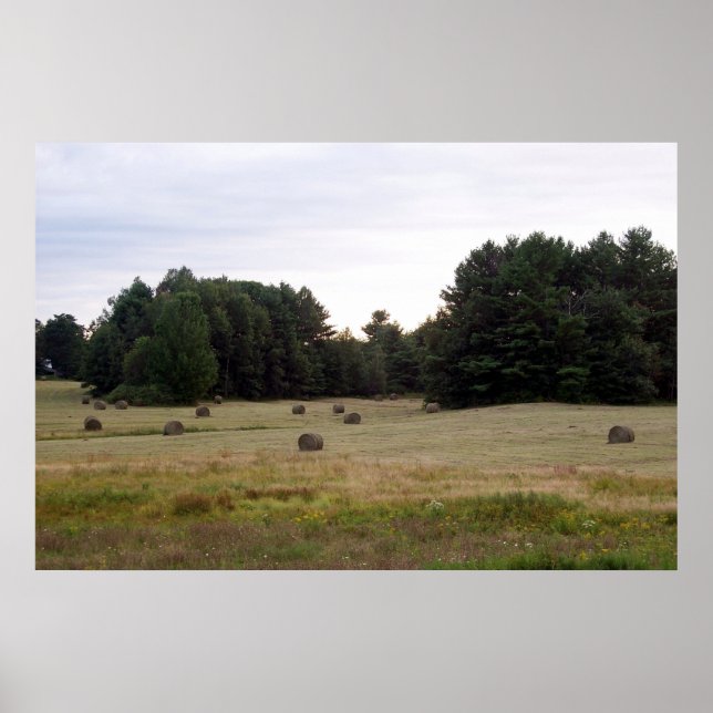 Maine Landscape Poster (Front)