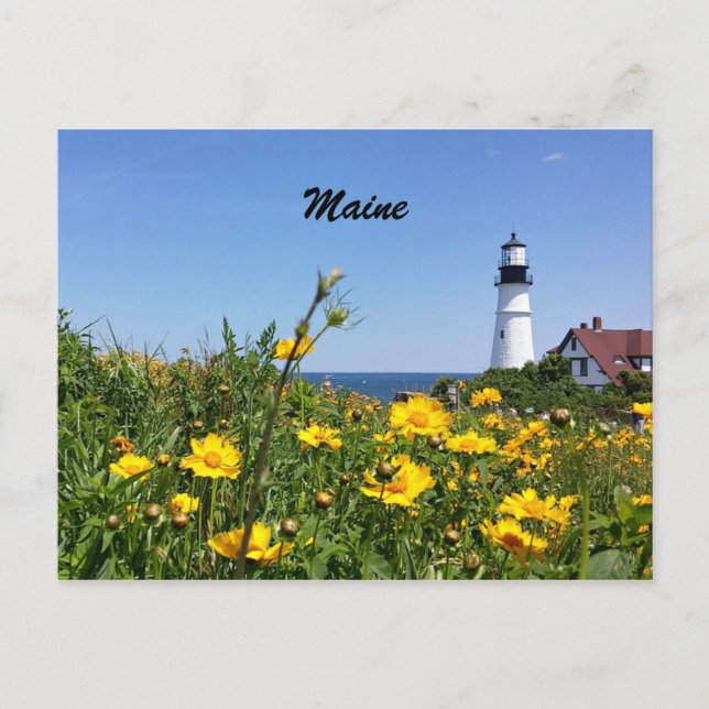 Maine Lighthouse Postcard (Front)