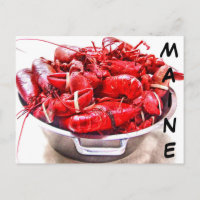 Maine Lobster